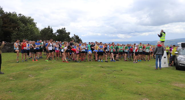 Magic Roundabout race