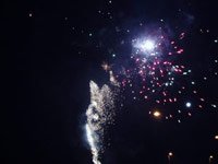 2009