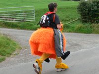 2009