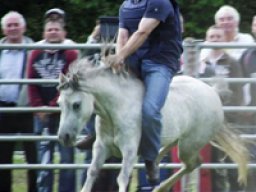 2011