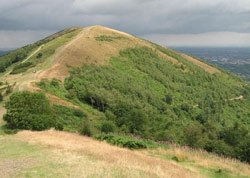 2010